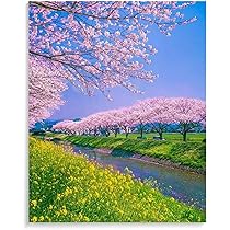 油絵　妖精01 Amazon | 川沿いの桜 数字キットによる絵画 数字油絵 日本の田園